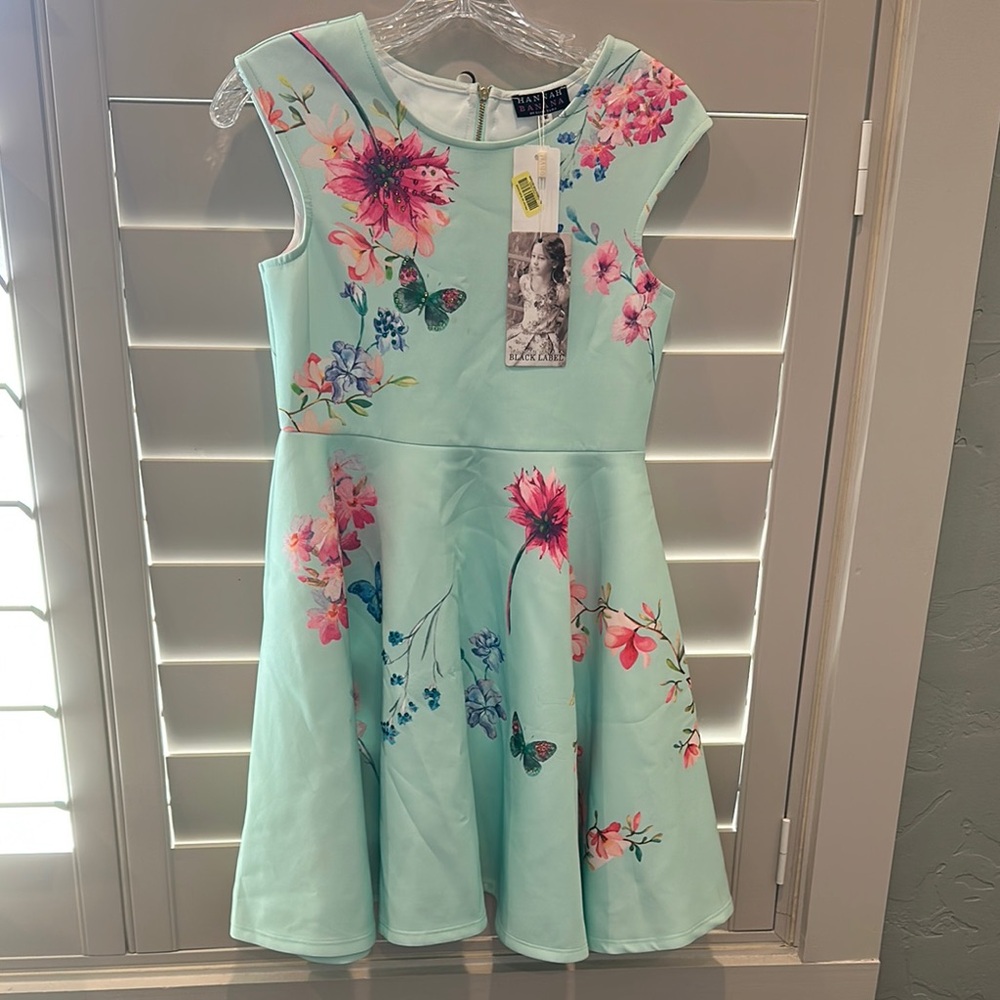 Hannah Banana Green Fit and Flare Cap Sleeve Dress